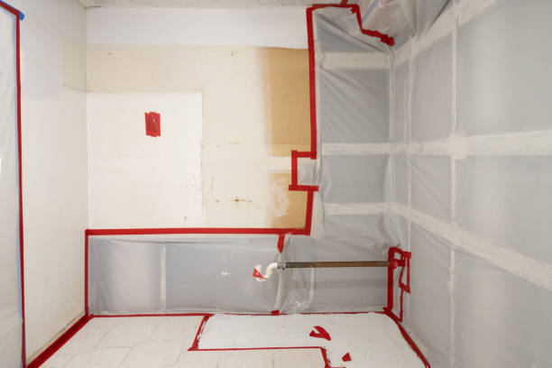 Best Commercial Mold Inspection  in Lyndhurst, OH