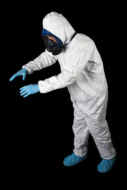 Best Asbestos and Lead Testing During Mold Inspection  in Lyndhurst, OH